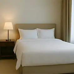 Air Filtration Solutions for Allergen and Pathogen Control in Hotels - guest room