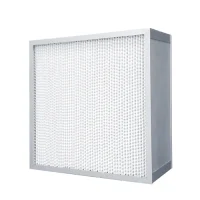 Pleated HEPA Filter